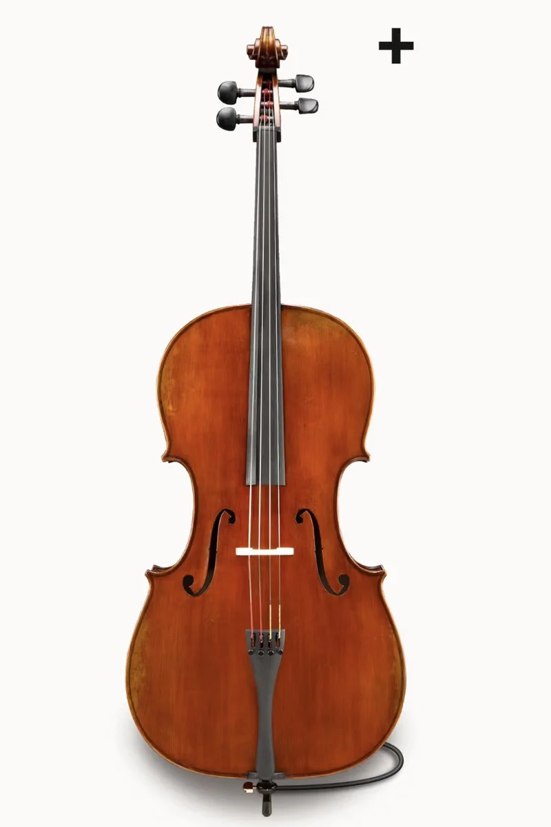 【調整品】Andreas Eastman VC100 4/4 チェロ 調整品】Andreas Eastman VC100 4/4 チェロ